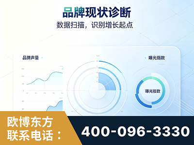 瑞金-品牌现状诊断