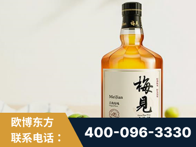 瑞金-梅见青梅酒
