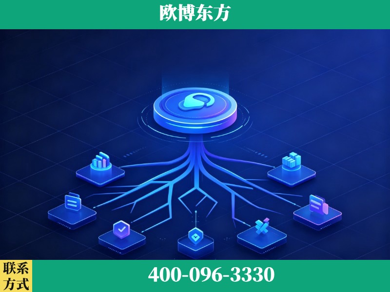 瑞金-deepseek优化